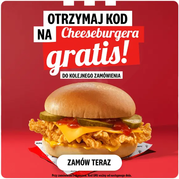 Cheeseburger Bounce Back