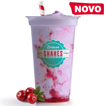Shake od brusnice 500 ml