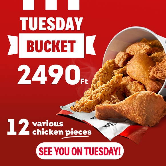 Keddi_Kosar_Teaser_Recommends