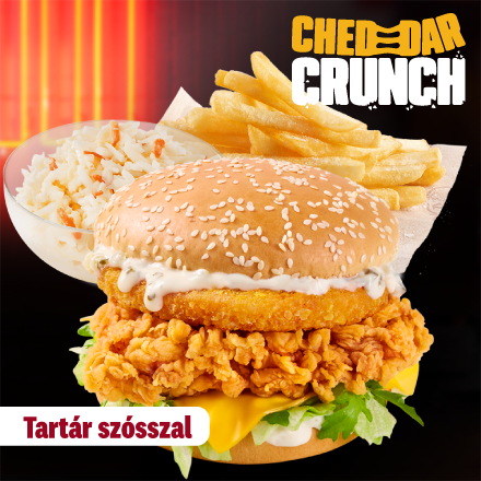 Cheddar Crunch Burger Tartar Meal