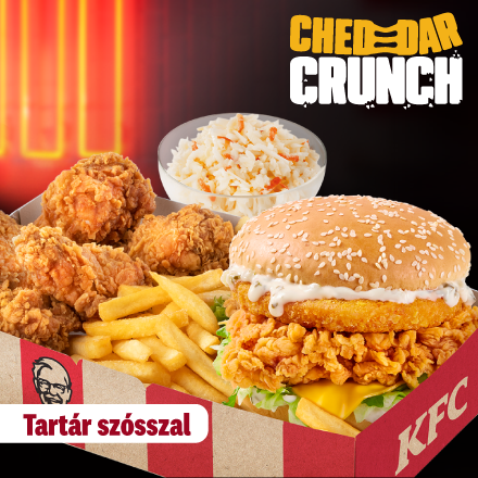 Cheddar Crunch Burger Tartar Box + Coleslaw