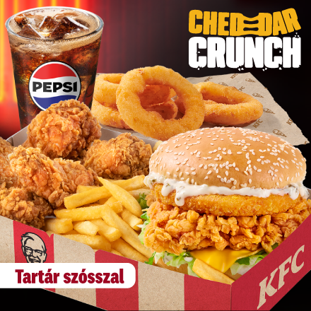 Cheddar Crunch Burger Tartar Box + 4 Onion Rings