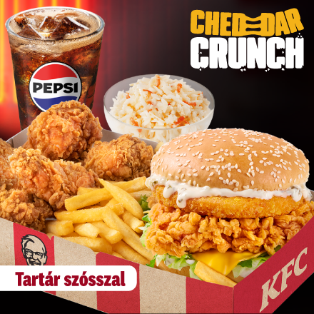 Cheddar Crunch Burger Tartar Box + Coleslaw