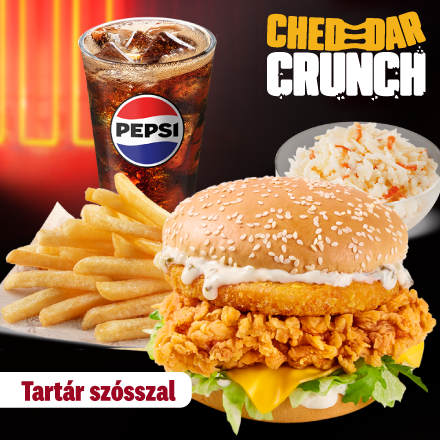 Cheddar Crunch Burger Tartar Meal + Coleslaw