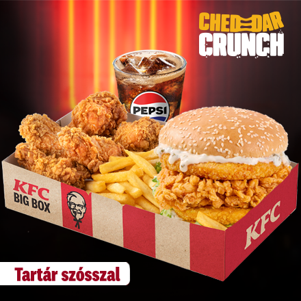 Double Cheddar Crunch Burger Tartar Box