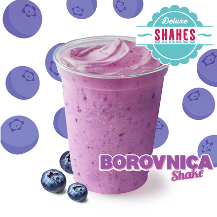 Borovnica Shake 300ml - cena, promocije, dostava